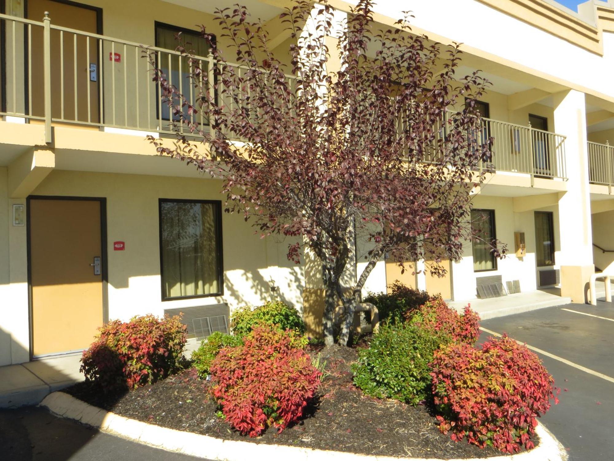 Econo Lodge Lenoir City Exterior photo